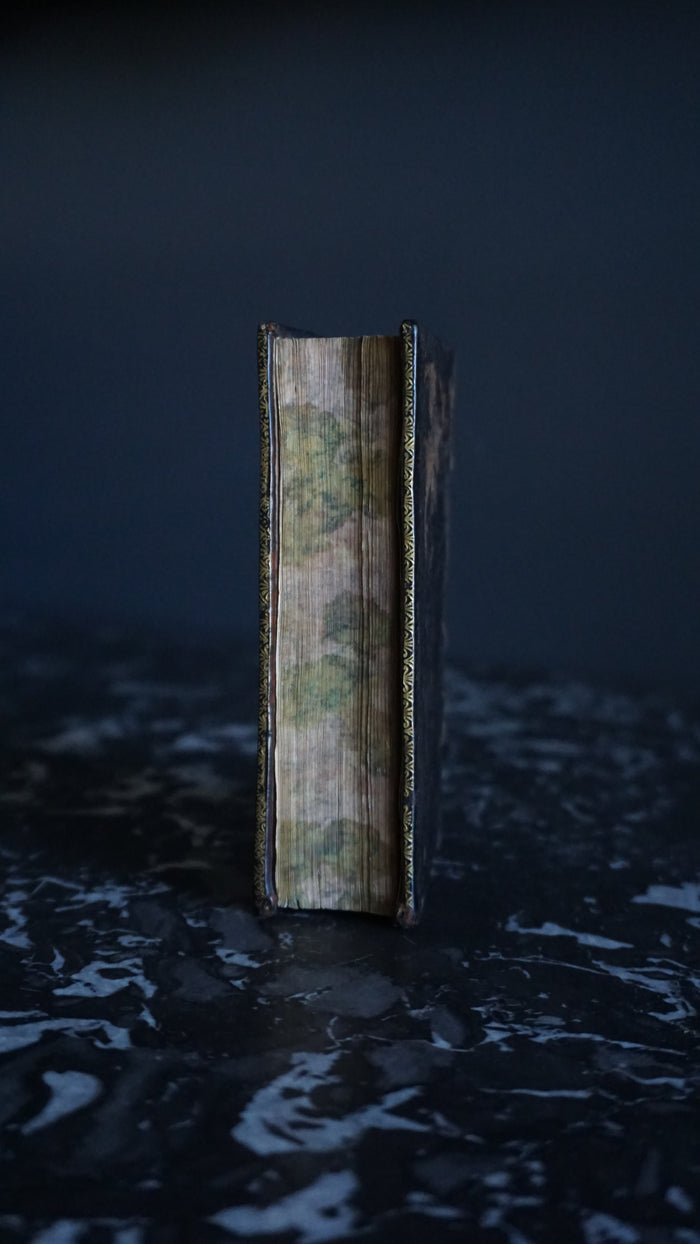 1661 "The Comedies of Terence (Terentii Comaediae Sex)" Mini Brown Full Leather Book