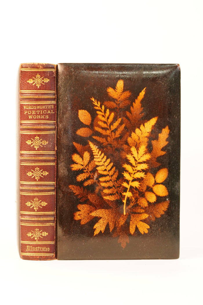 1871 Wordsworth Poetical Works Mauchline Binding Poetry Book