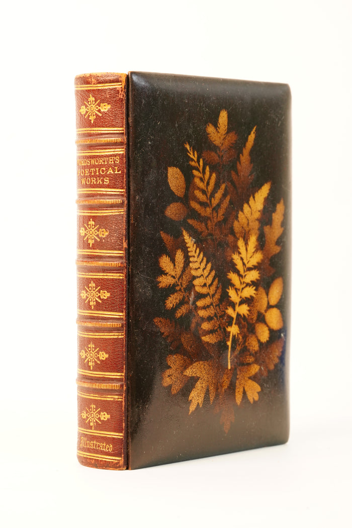 1871 Wordsworth Poetical Works Mauchline Binding Poetry Book
