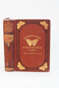 1875 Edward Newman British Butterflies and Moths