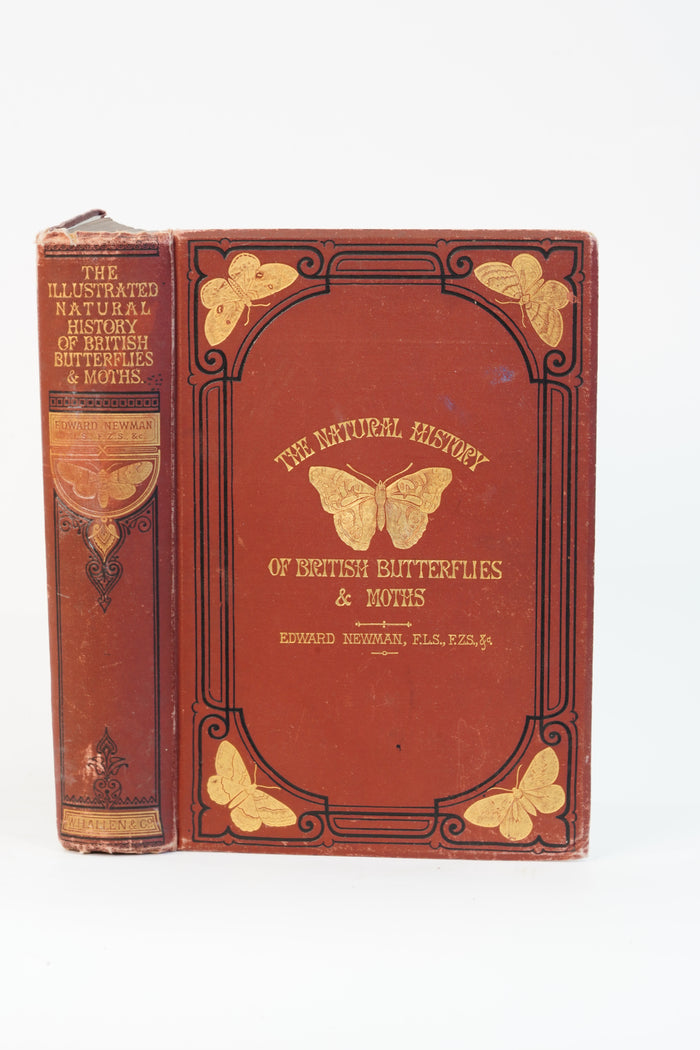 1875 Edward Newman British Butterflies and Moths
