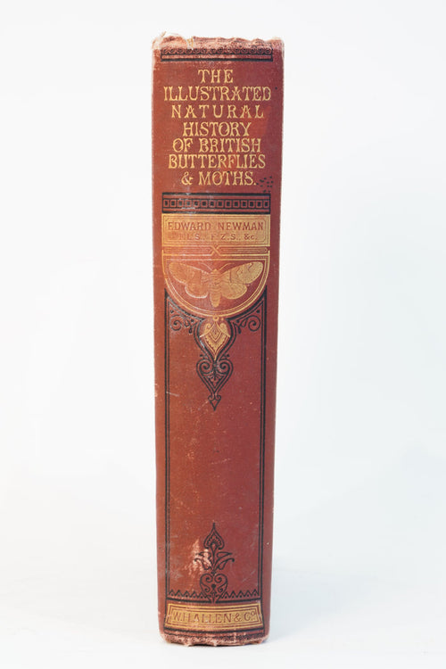 1875 Edward Newman British Butterflies and Moths