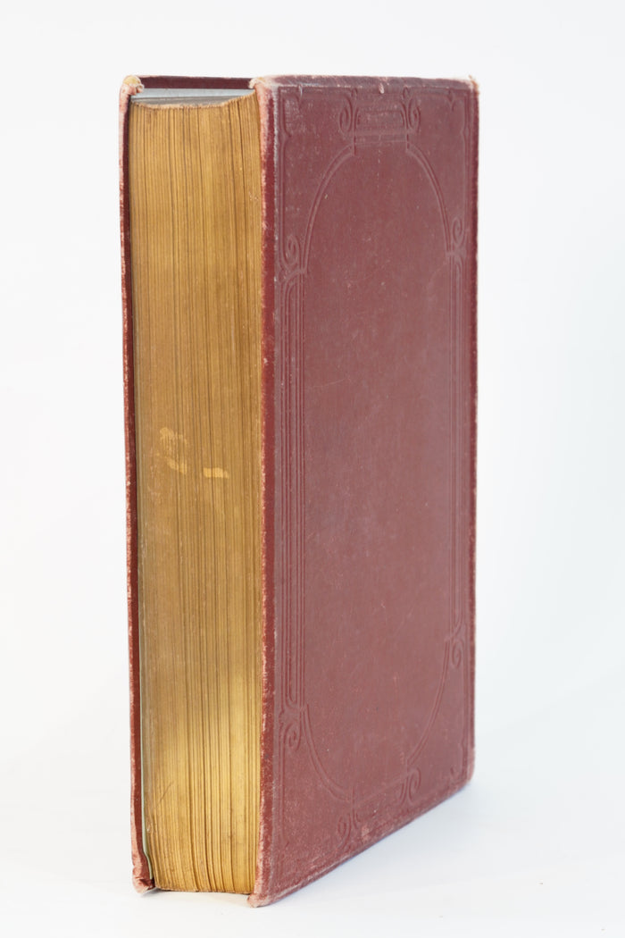 1875 Edward Newman British Butterflies and Moths
