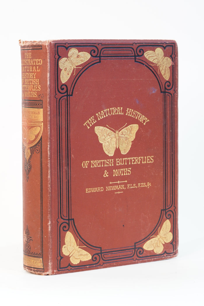 1875 Edward Newman British Butterflies and Moths