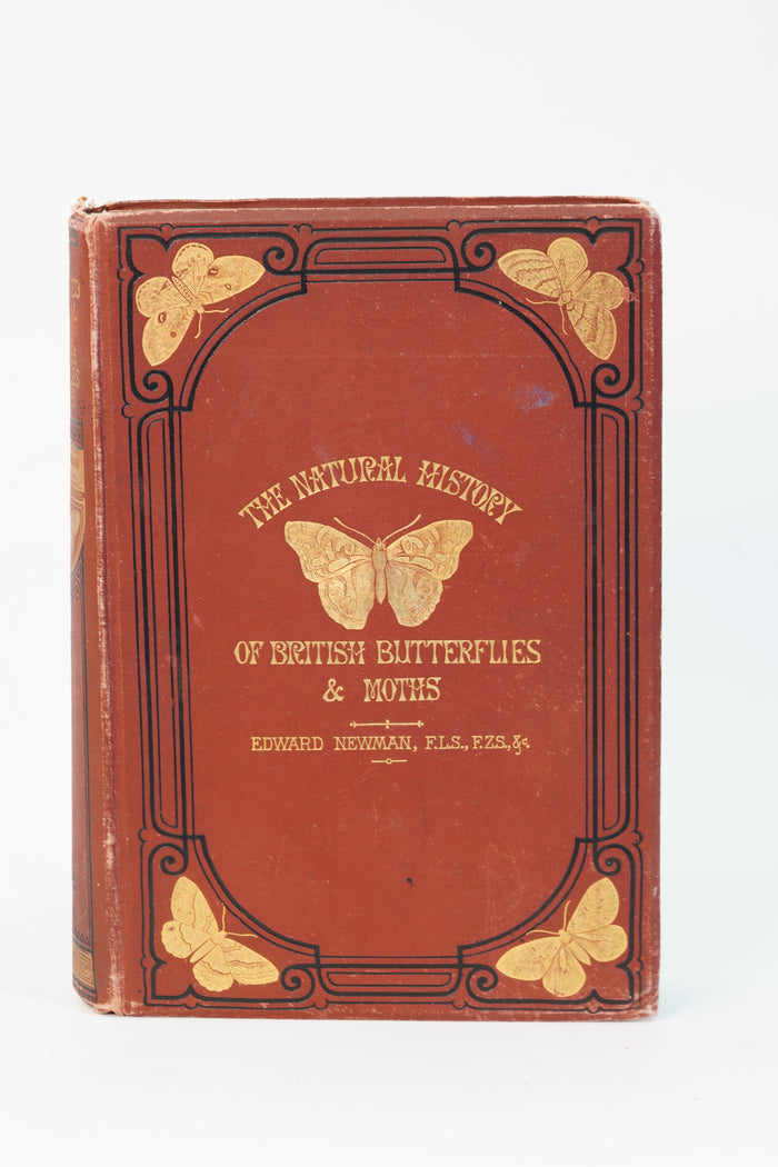 1875 Edward Newman British Butterflies and Moths