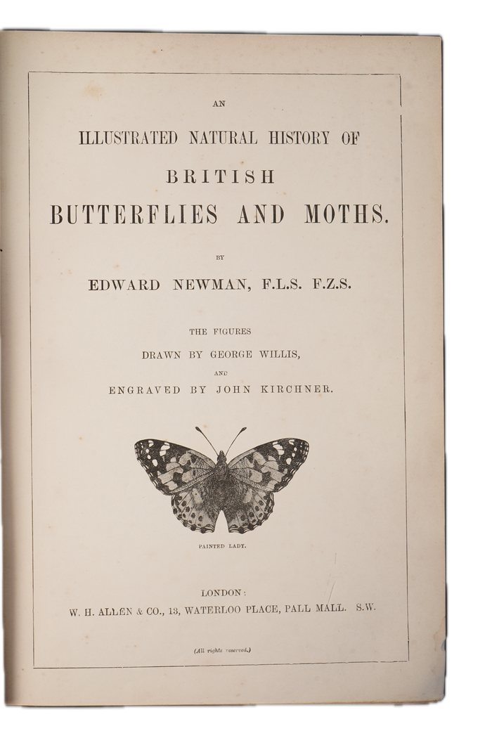 1875 Edward Newman British Butterflies and Moths
