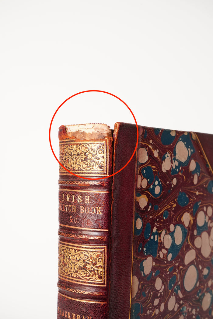 1875 Thackeray Irish Sketch Book