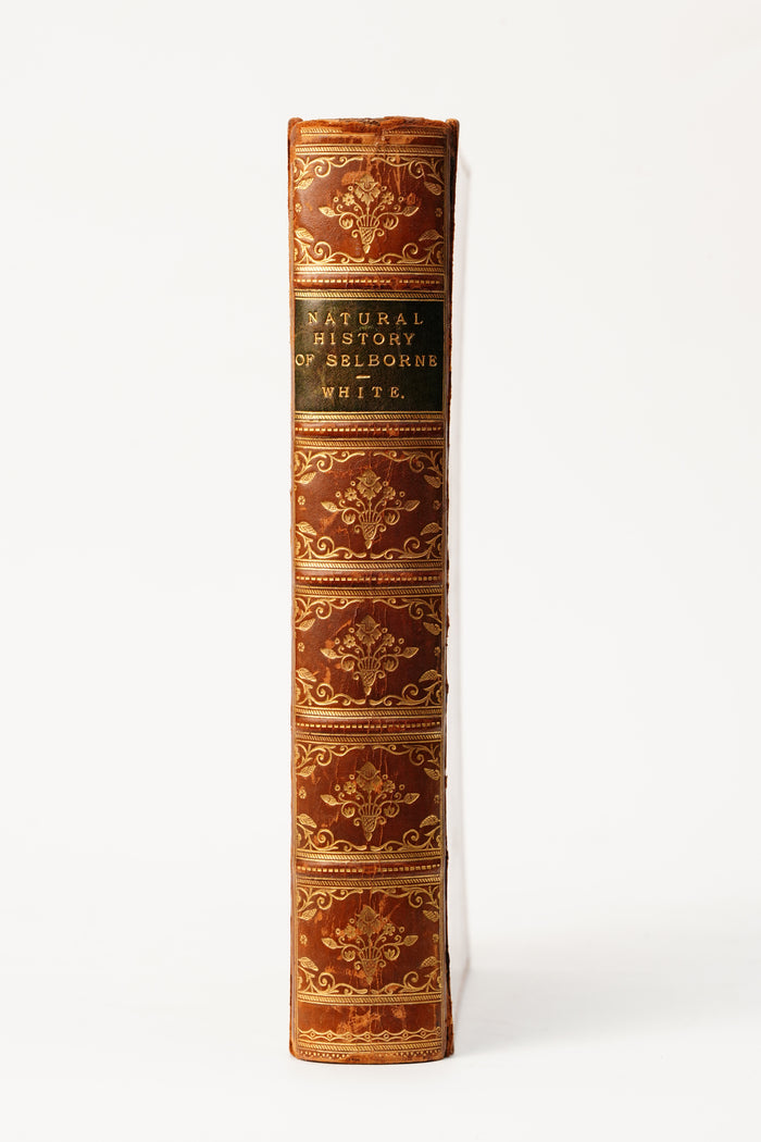 1883 Natural History and Antiquities of Selborne