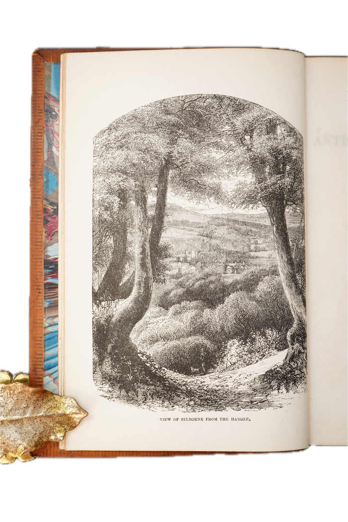 1883 Natural History and Antiquities of Selborne