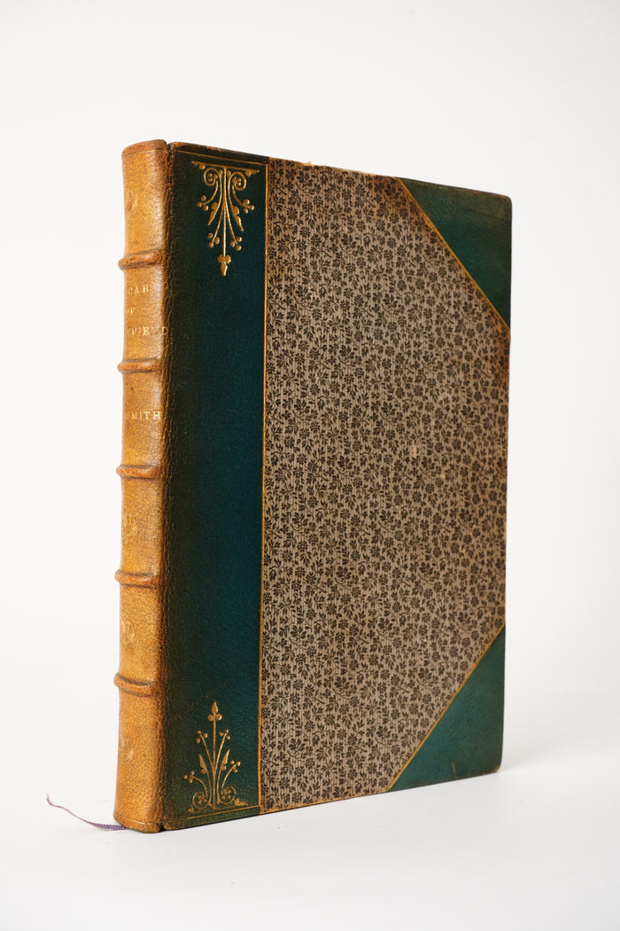 1890 Vicar of Wakefield Hugh Thomson Half Leather