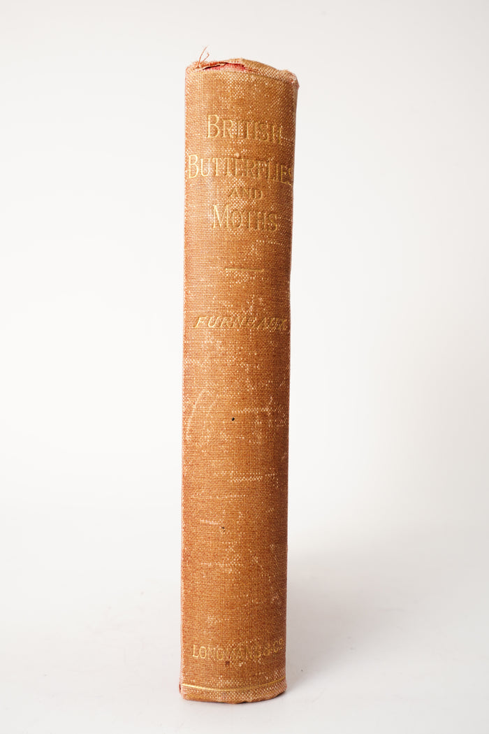 1897 British Butterflies and Moths Natural History Cloth Book