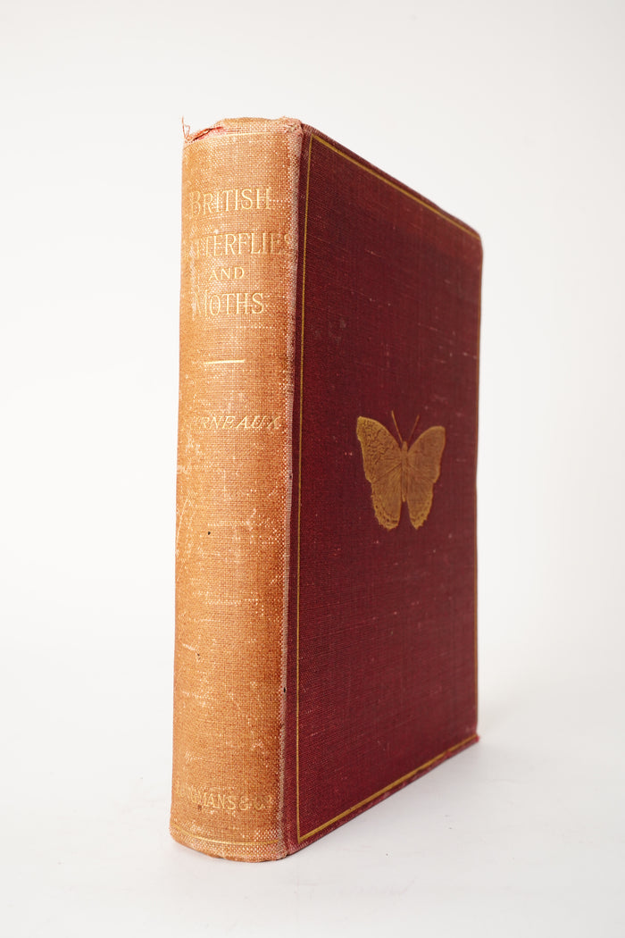 1897 British Butterflies and Moths Natural History Cloth Book