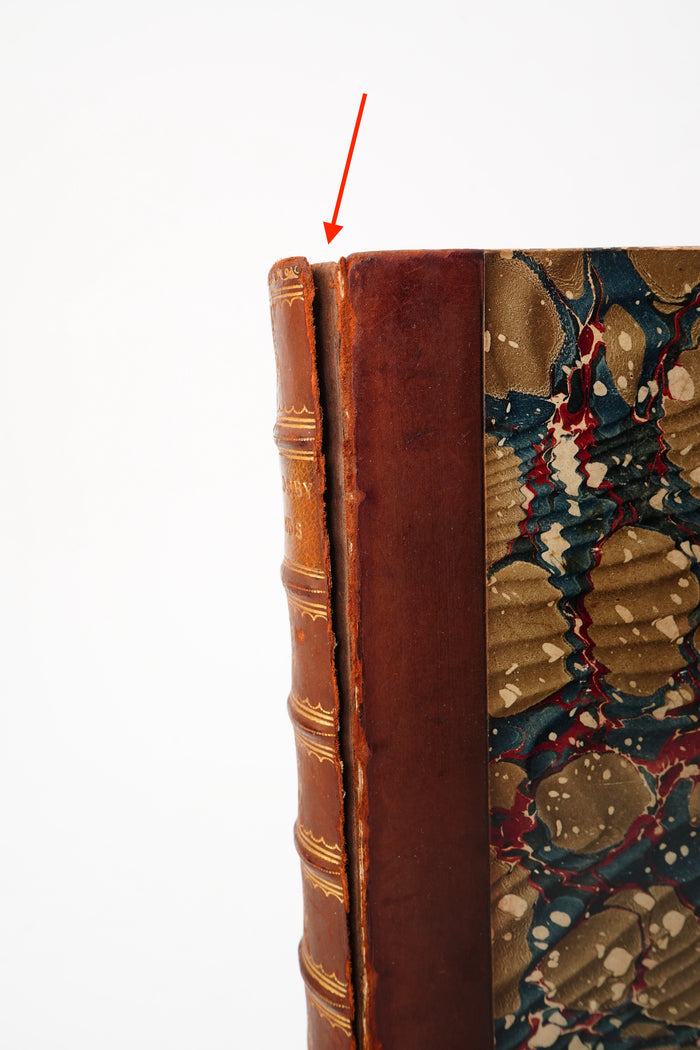 1900 Ingoldsby Legends Illustrated Half Leather Folklore Book