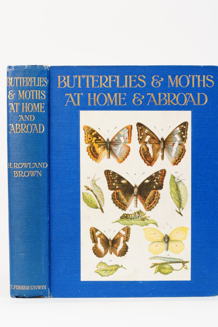1912 H. Rowland Brown Butterflies and Moths at Home and Abroad