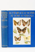 1912 H. Rowland Brown Butterflies and Moths at Home and Abroad