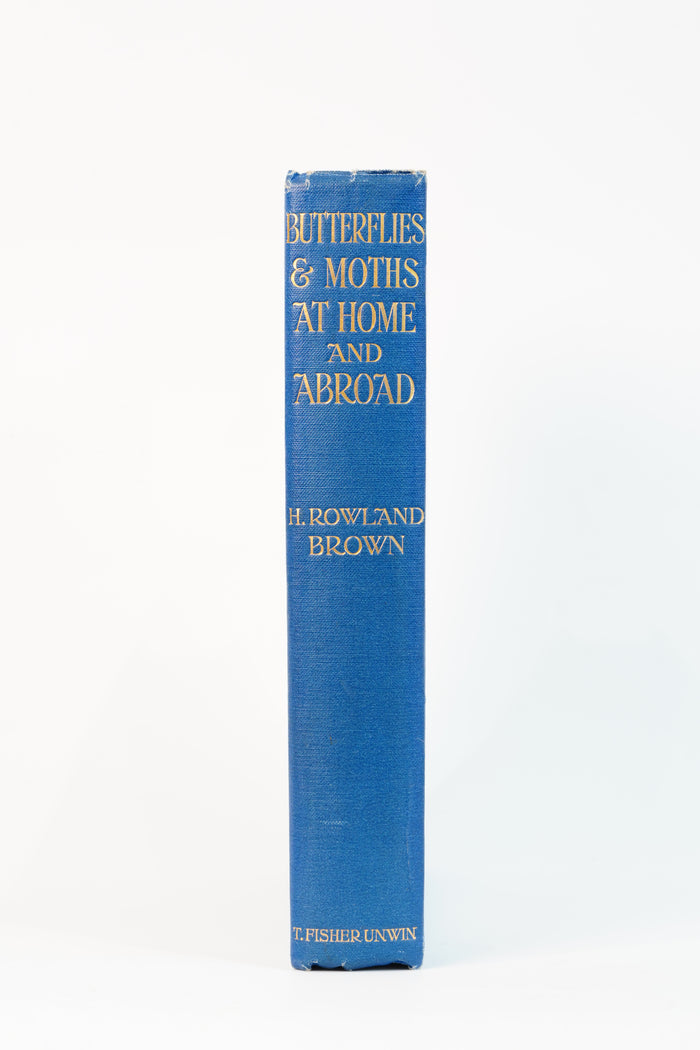 1912 H. Rowland Brown Butterflies and Moths at Home and Abroad