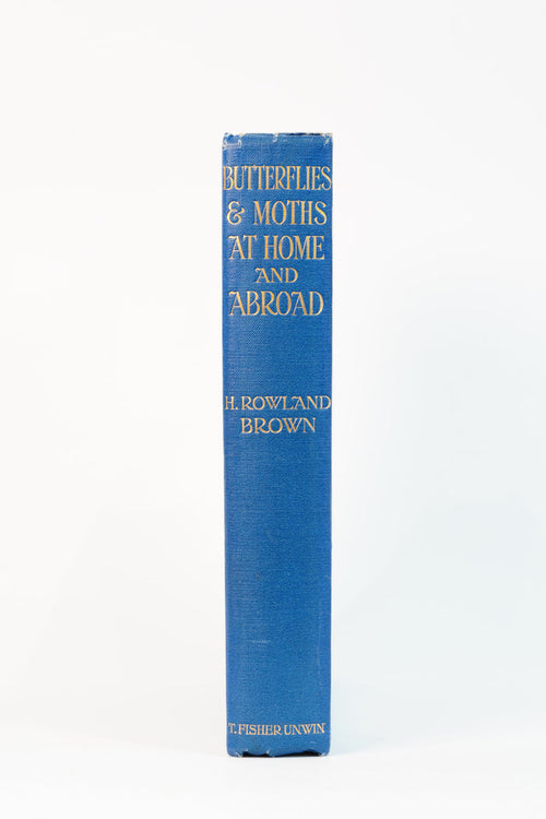 1912 H. Rowland Brown Butterflies and Moths at Home and Abroad