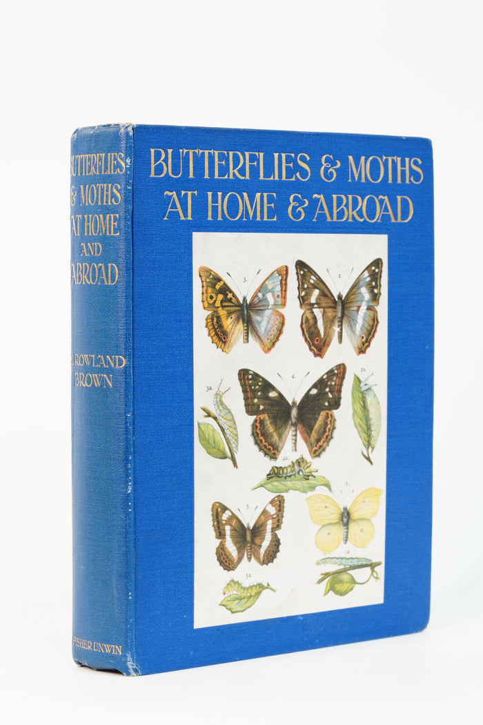 1912 H. Rowland Brown Butterflies and Moths at Home and Abroad