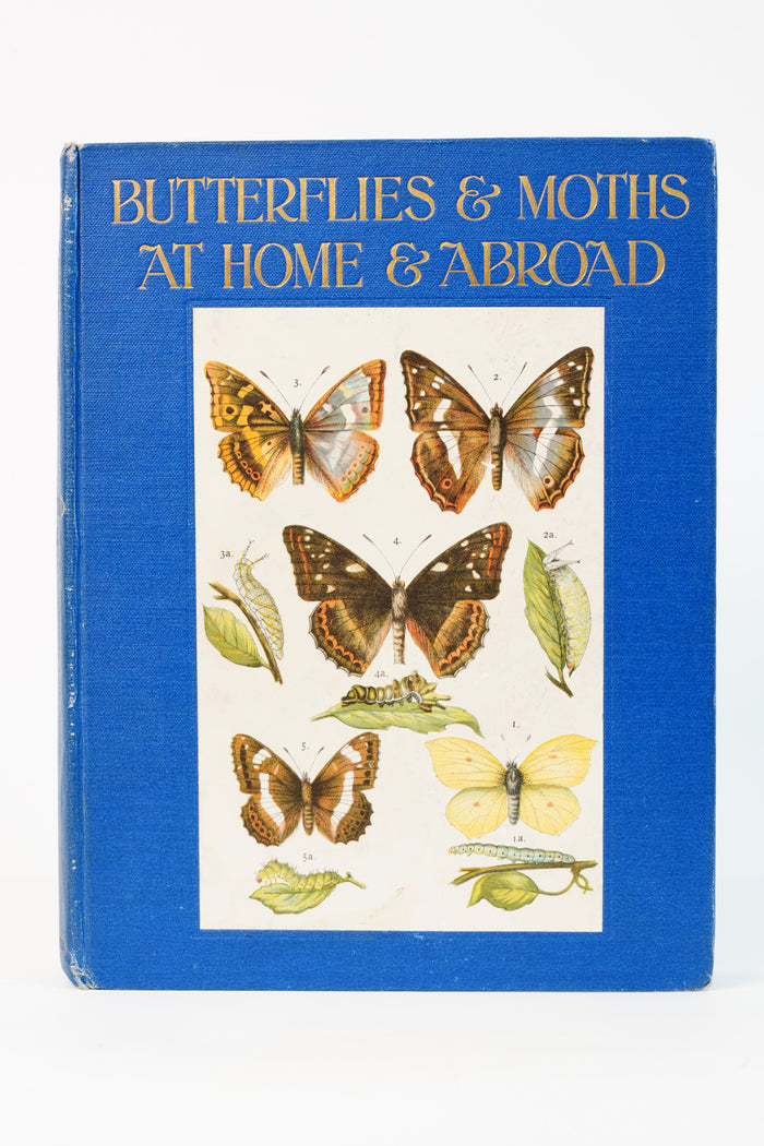 1912 H. Rowland Brown Butterflies and Moths at Home and Abroad
