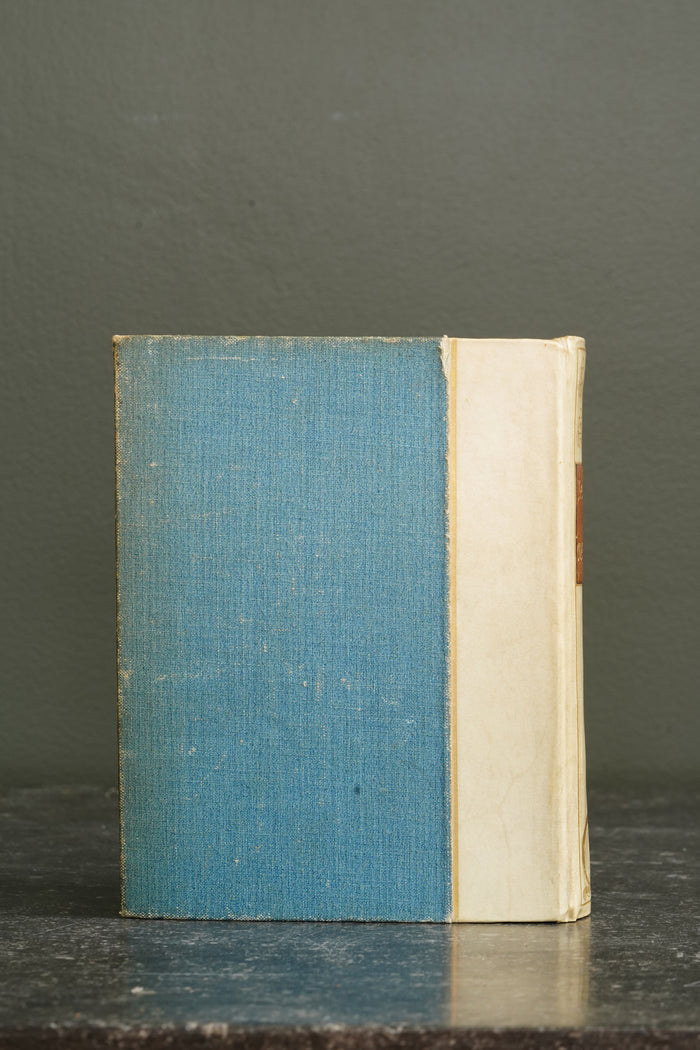 Antique Art History Book Legends of the Madonna Vellum 1907