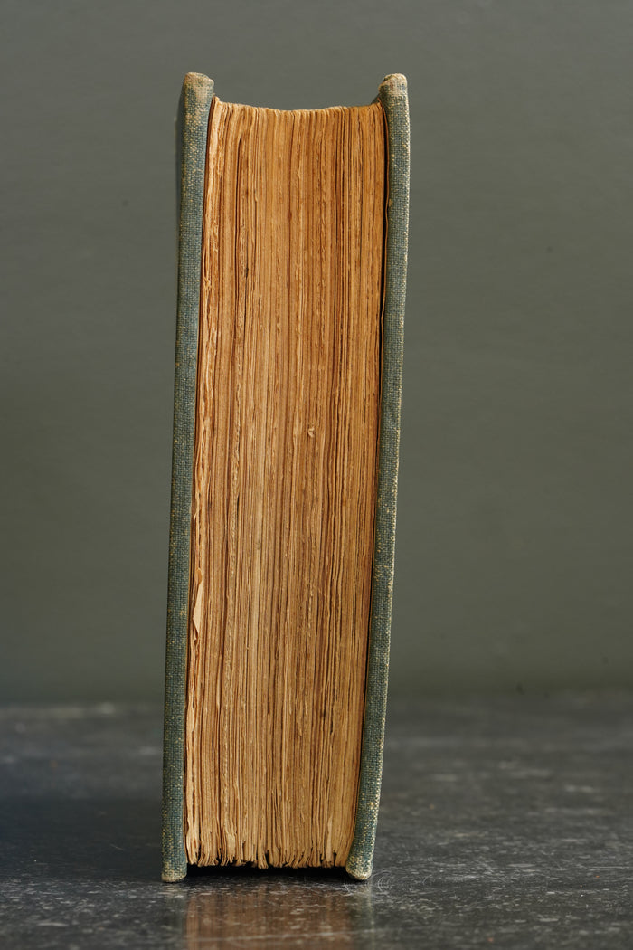 Antique Art History Book Legends of the Madonna Vellum 1907