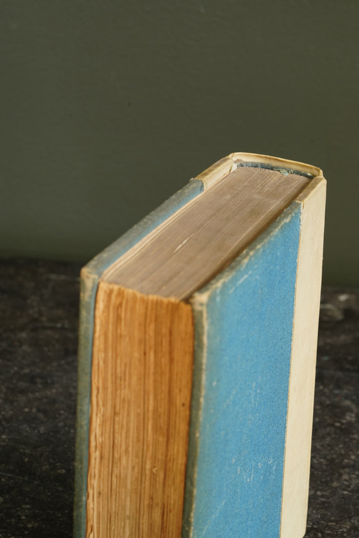 Antique Art History Book Legends of the Madonna Vellum 1907