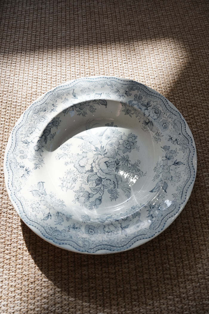 Antique Asiatic Pheasant Soup Plate, Wedgwood & Co.