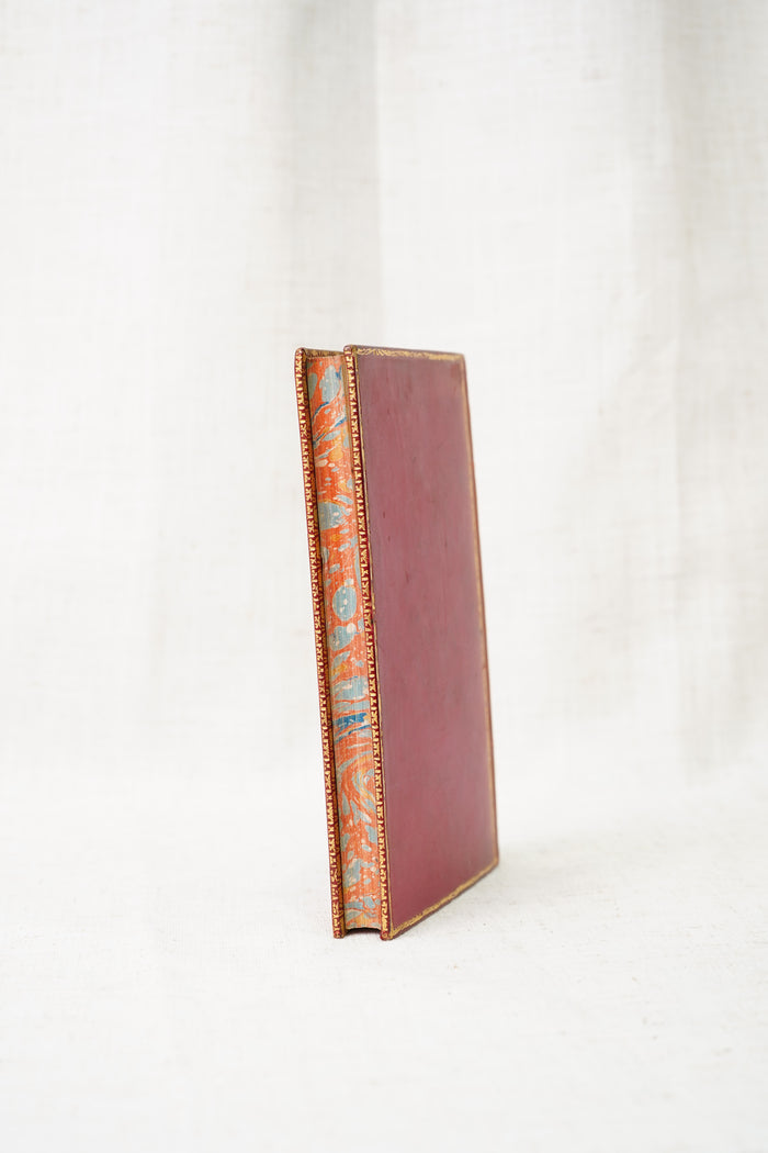 Antique Leather Book The Story of Alfred and His Times 1900