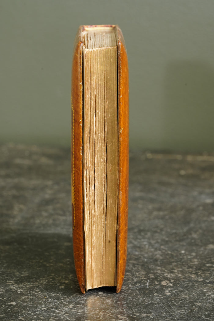 Antique Poetry The Lady of the Lake by Sir Walter Scott, Mauchline Binding Book