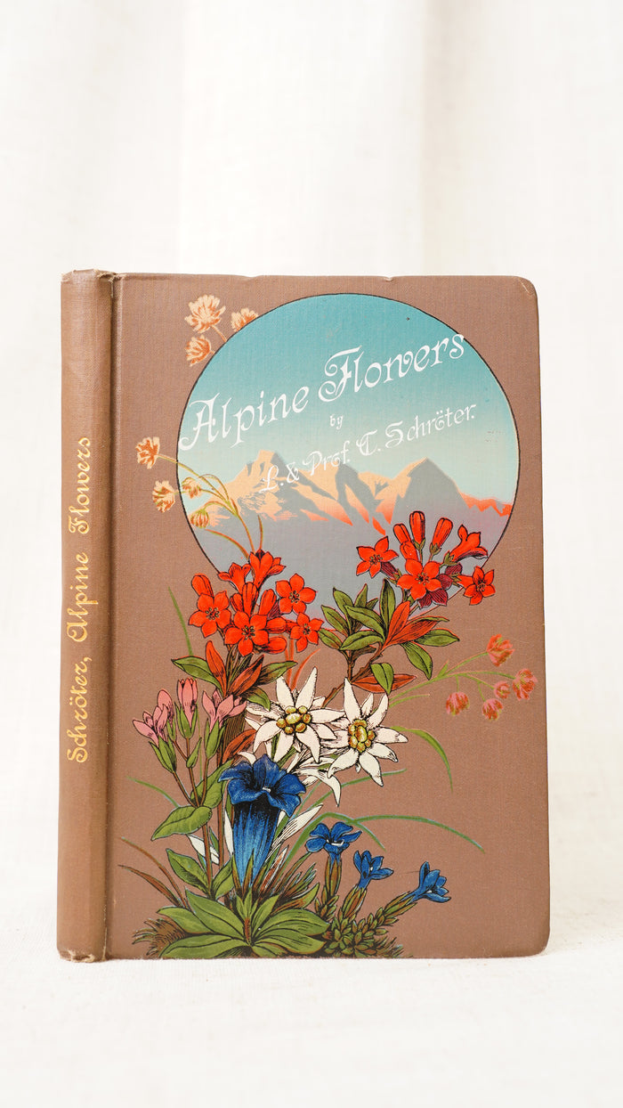 Antique Schroter Alpine Flowers 1904 Chromolithograph Botanical