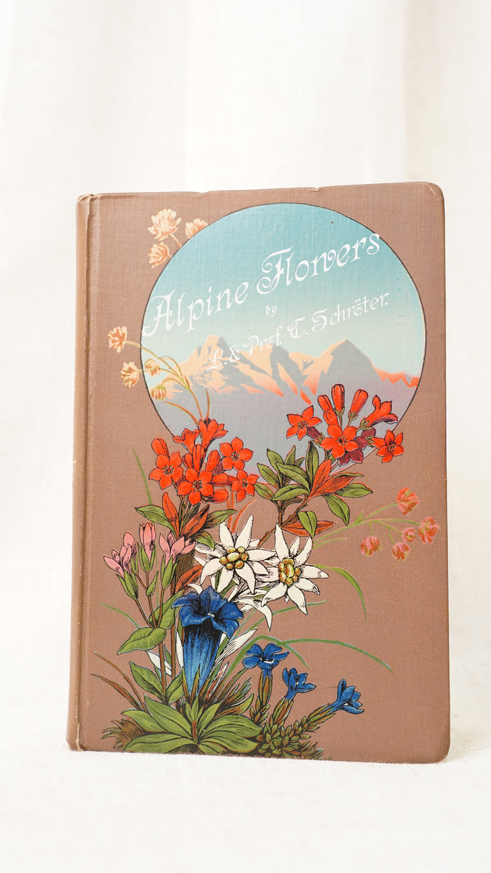 Antique Schroter Alpine Flowers 1904 Chromolithograph Botanical
