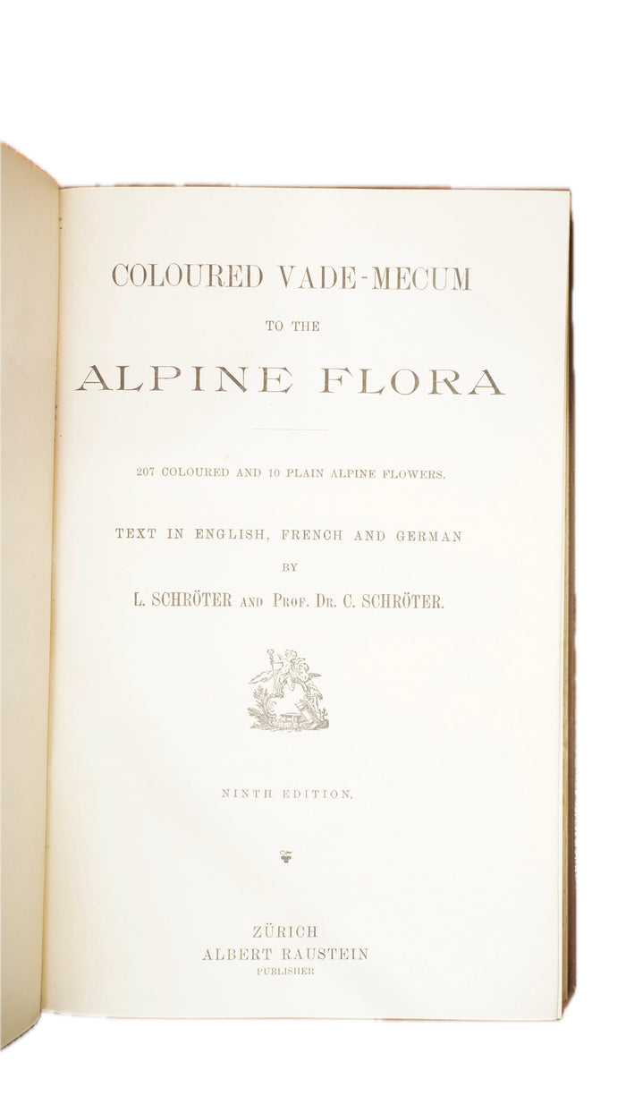 Antique Schroter Alpine Flowers 1904 Chromolithograph Botanical