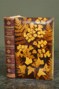 Antique The Poetical Works of Sir Walter Scott Mauchline Binding Book