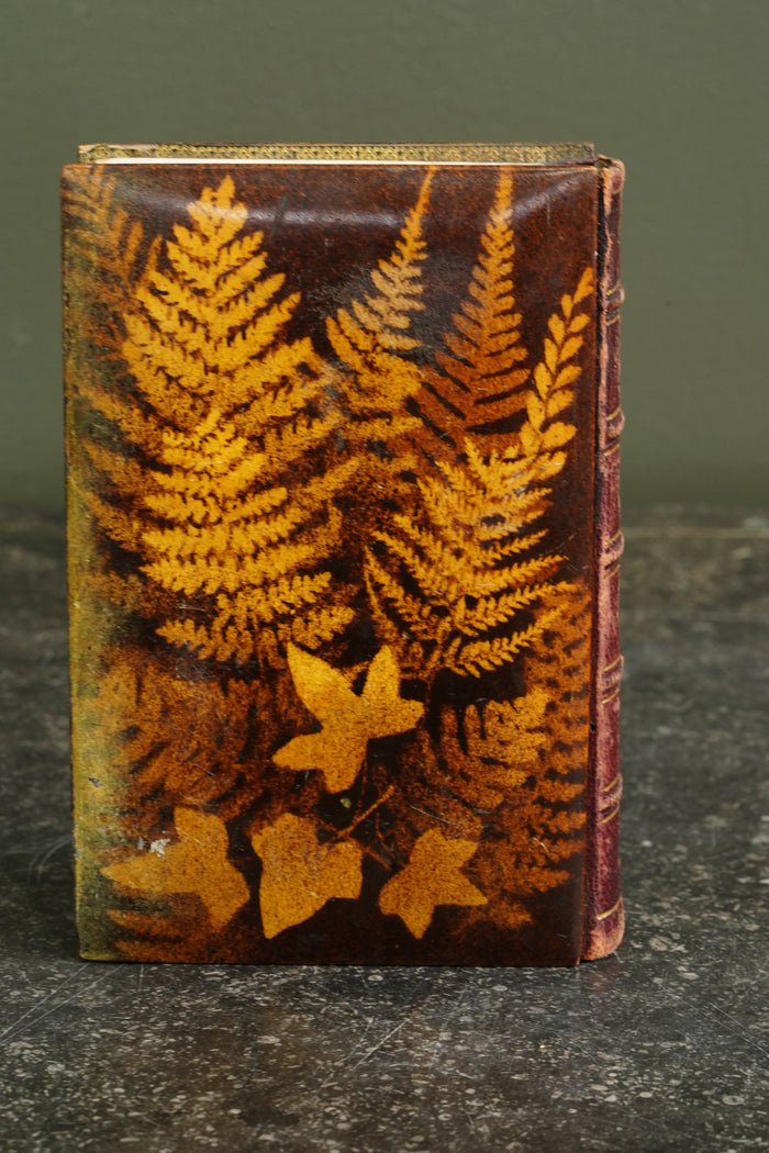 Antique The Poetical Works of Sir Walter Scott Mauchline Binding Book