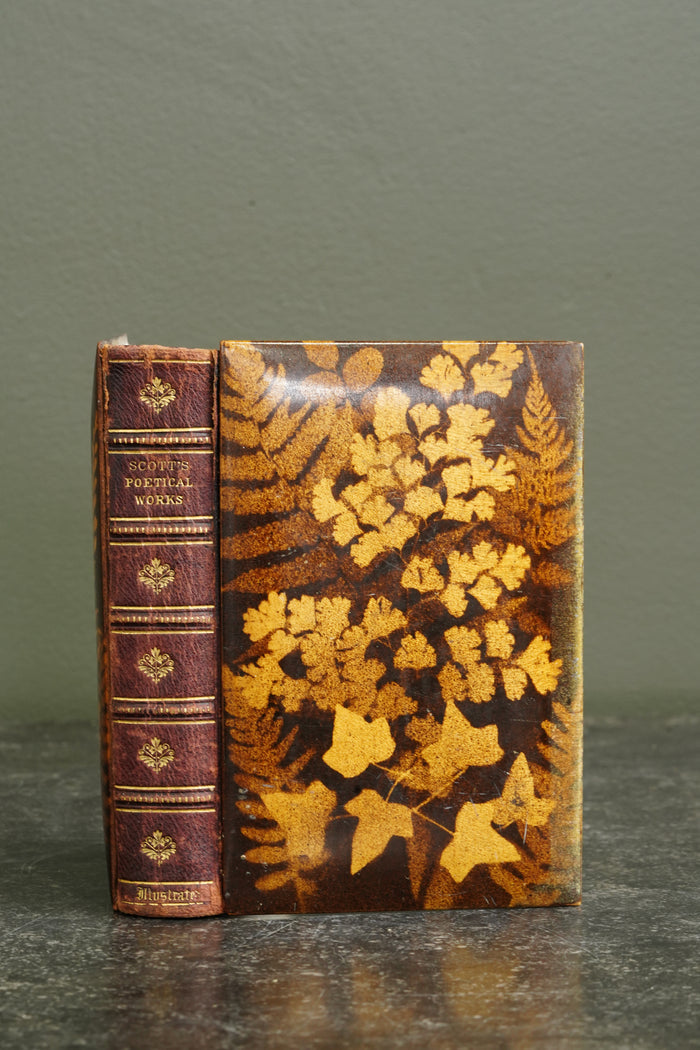 Antique The Poetical Works of Sir Walter Scott Mauchline Binding Book