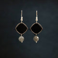 Black Glass ~ Crystals & Stainless Steel Earrings