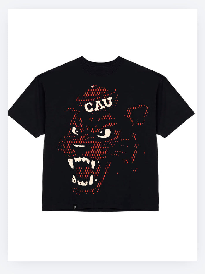 CAU