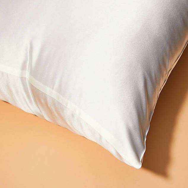 Cloud 9 Silk Pillowcase - IVORY WHITE: King