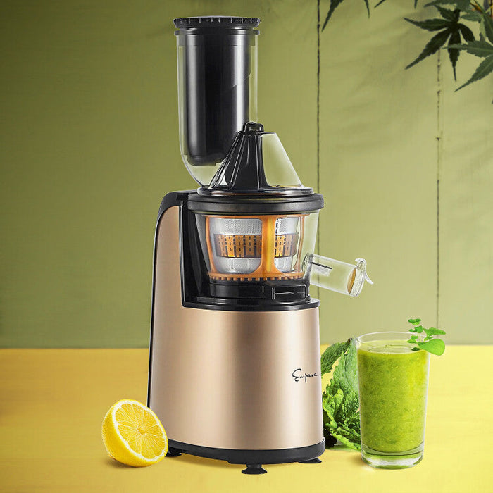 Empava Cold Press Slow Juicer in Gold (BLDR01)
