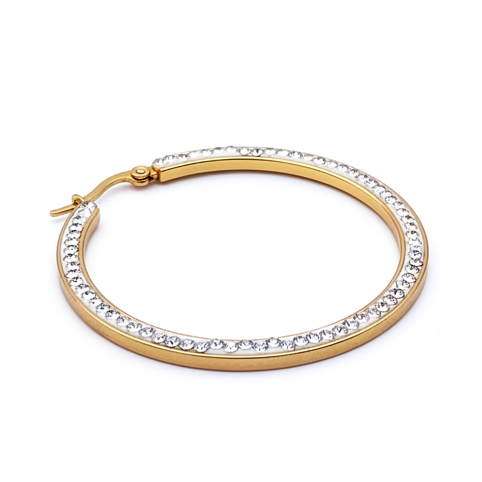 FULL CIRCLE Earring/ Hoops
