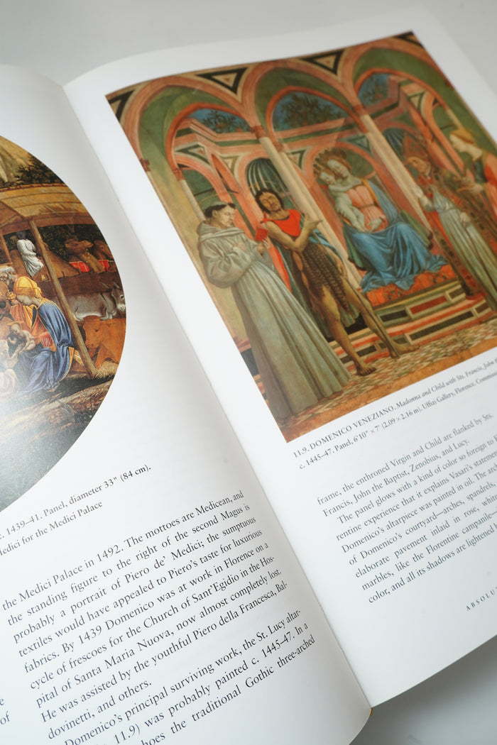 History of Italian Renaissance Art Hardcover Frederick Hart Wilkins 2001