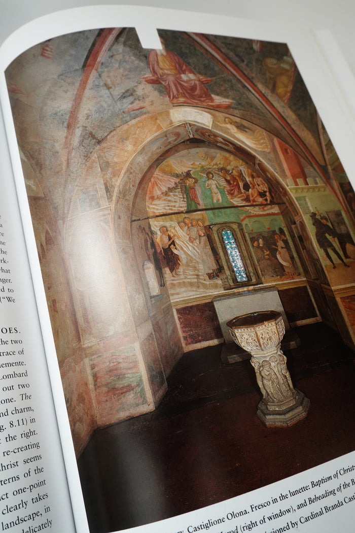 History of Italian Renaissance Art Hardcover Frederick Hart Wilkins 2001