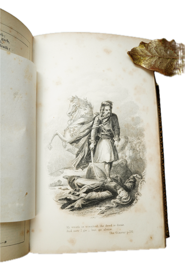 Illustrated Victorian Lord Byron Poetry Book Full Leather