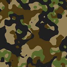 Insulated Lunchbox - Camo
