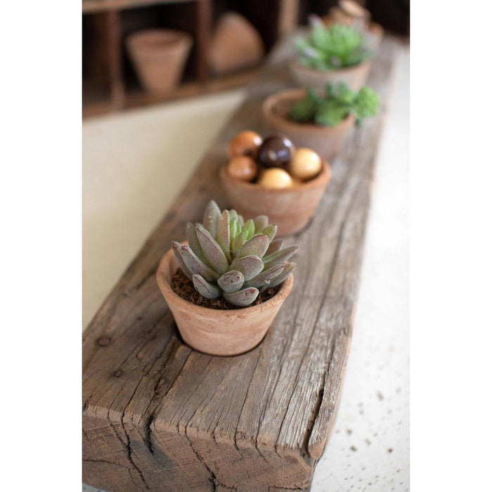 Kalalou Recycled Wooden Base With Five Clay Succulent Holders