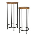 Sagebrook Home Set of 2 Wood and Metal 10/12 in. Plant Stands main image.