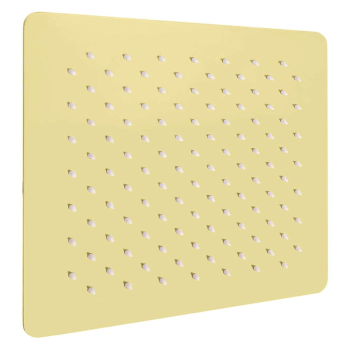 ZLINE 12 in. Bliss Shower Head in Polished Gold (BLS-H12-PG) main image.