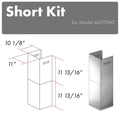 ZLINE 2-12 in. Short Chimney Pieces for 7 ft. to 8 ft. Ceilings (SK-ALP70WL) main image.