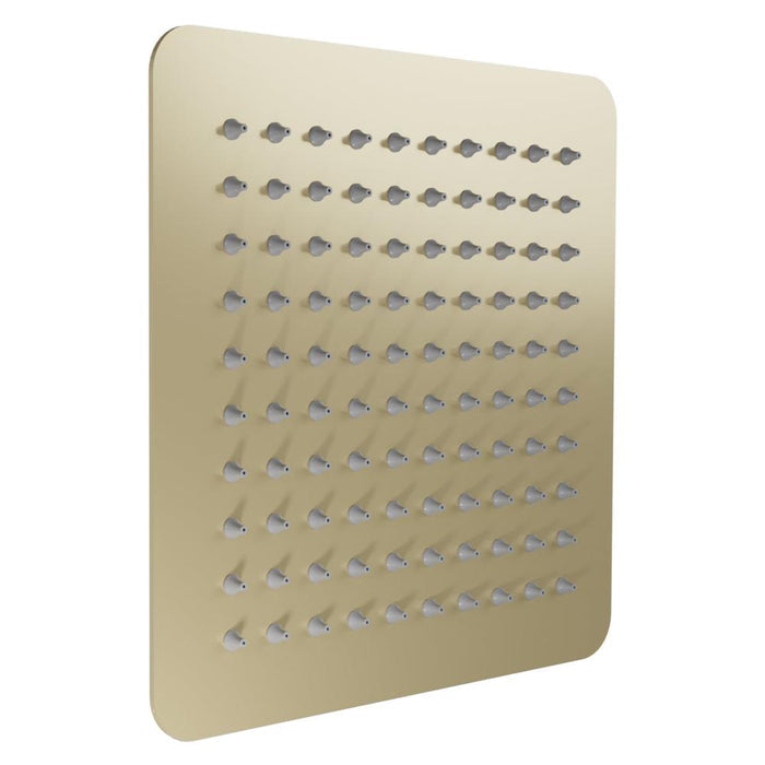 ZLINE Bliss 8 in. Shower Head in Champagne Bronze (BLS-H8-CB) main image.