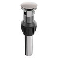 ZLINE Palisades Push Button Drain in Brushed Nickel (RBCN1-PDO-BN) main image.